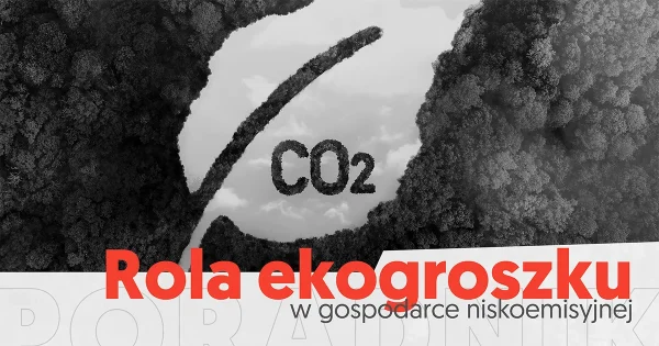 PETRODOM_EKOGROSZEK_blog_NISKOEMISYJNOSC_kwiecien_2024