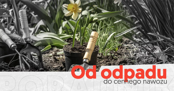 PETRODOM_EKOGROSZEK_blog_POPIOL_NAWOZ